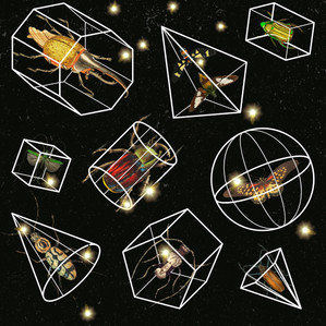 Digital collage Jalinka Gressmann