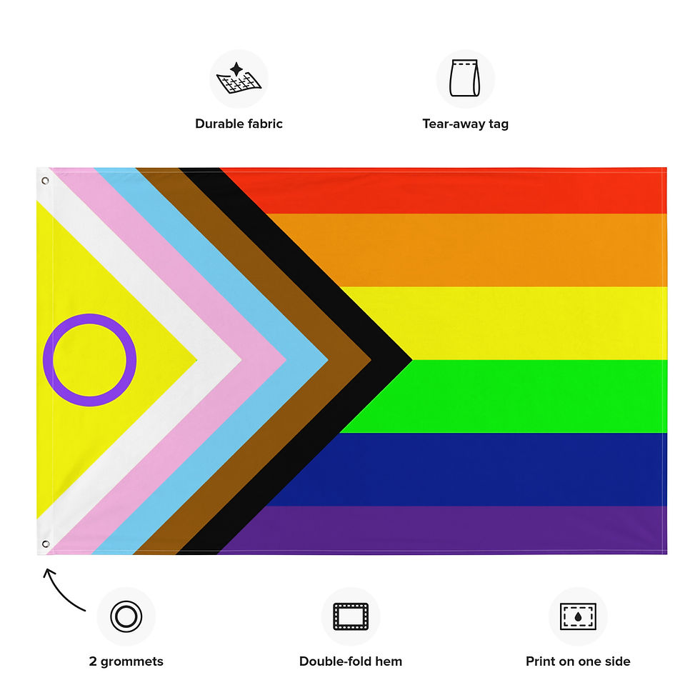 Miniature : Pride Progress Regenbogen Fahne