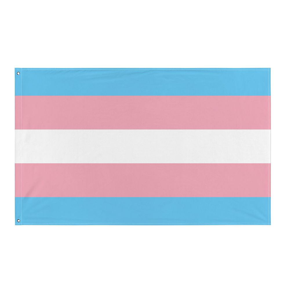 Miniatura: Transgender Flagge