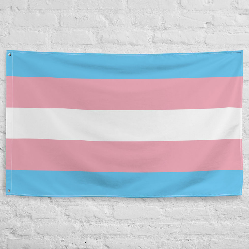 Miniature : Transgender Flagge