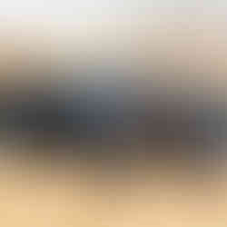 Atreju von der Eselei mit seinem Geschwisterlein