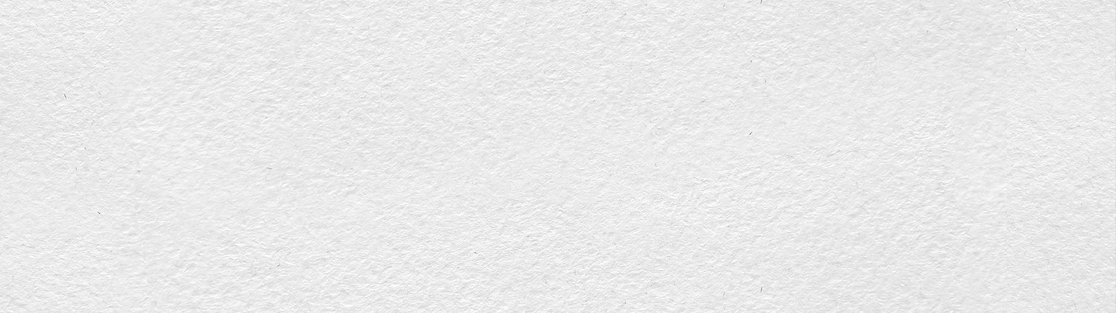 bg2.png