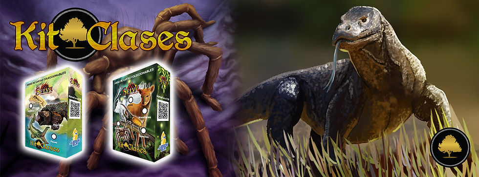 kit clases.jpg
