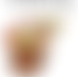 Us Today: Issue Seven