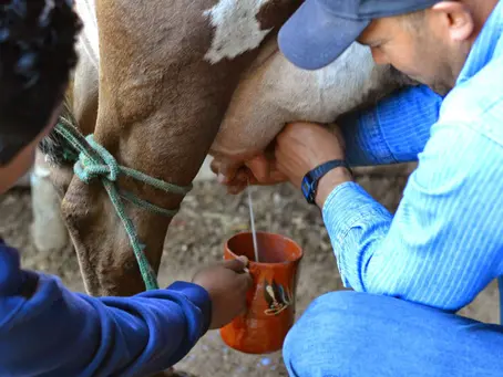 ¿Haz probado los pajaretes?