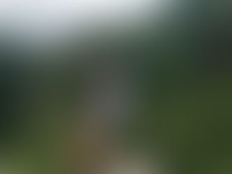 Pepé y Brutus, los nómadas rodantes