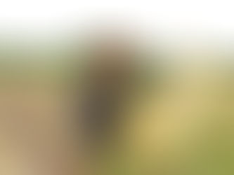 "Hùng đi tìm John" - Hành trình mỗi chúng ta đi tìm chính bản thân mình