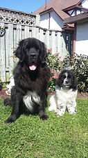 20180924_134549.jpg