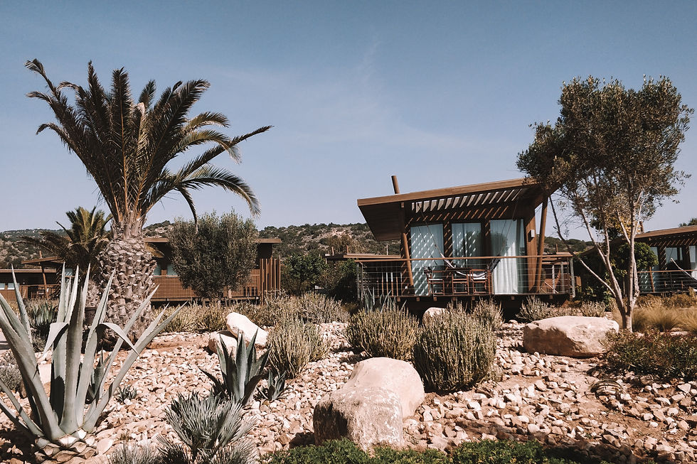 Thumbnail: Taghazout