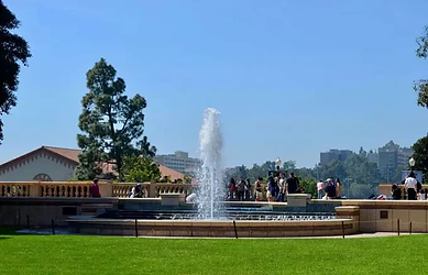 campus ucla.webp