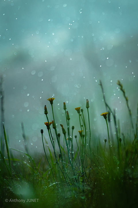 A mettre sur le site-09.jpg