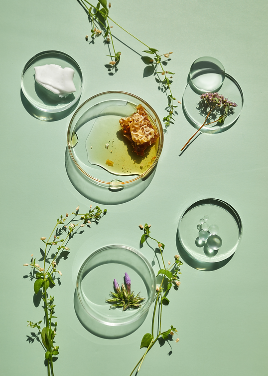 ingredient promise.png