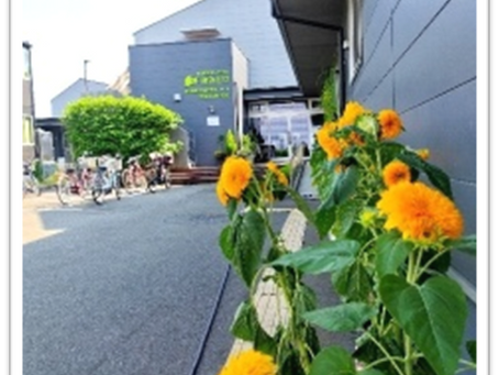 玄関前は・・