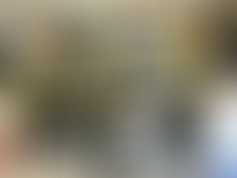 ひまわりを楽しもう ⑥