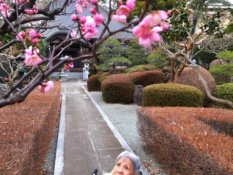 静かな境内に梅三分