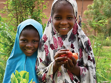 Screenshot 2025-11-07 at 2.56.46 PM.png