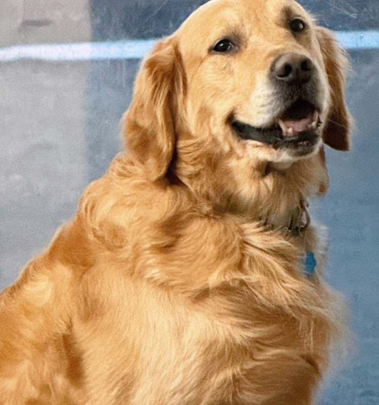 IMG_2827_edited_edited_edited_edited_edi