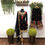 Thumbnail: palazzo and short kurti