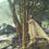 Thumbnail:  organza saree