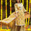 Thumbnail: Pure cotton  full gota work straight kurti with sharara