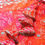 Thumbnail: Pink and orange anarkali shape with tiered style
