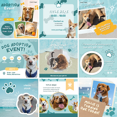Pet Profiles-min.png