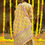 Thumbnail: Pure cotton  full gota work straight kurti with sharara