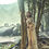 Thumbnail:  organza saree