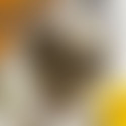 Grilled sunflower heads with cheese and lemon on a white plate. Sunflower petals in a basket, yellow flower, and grater in the background.