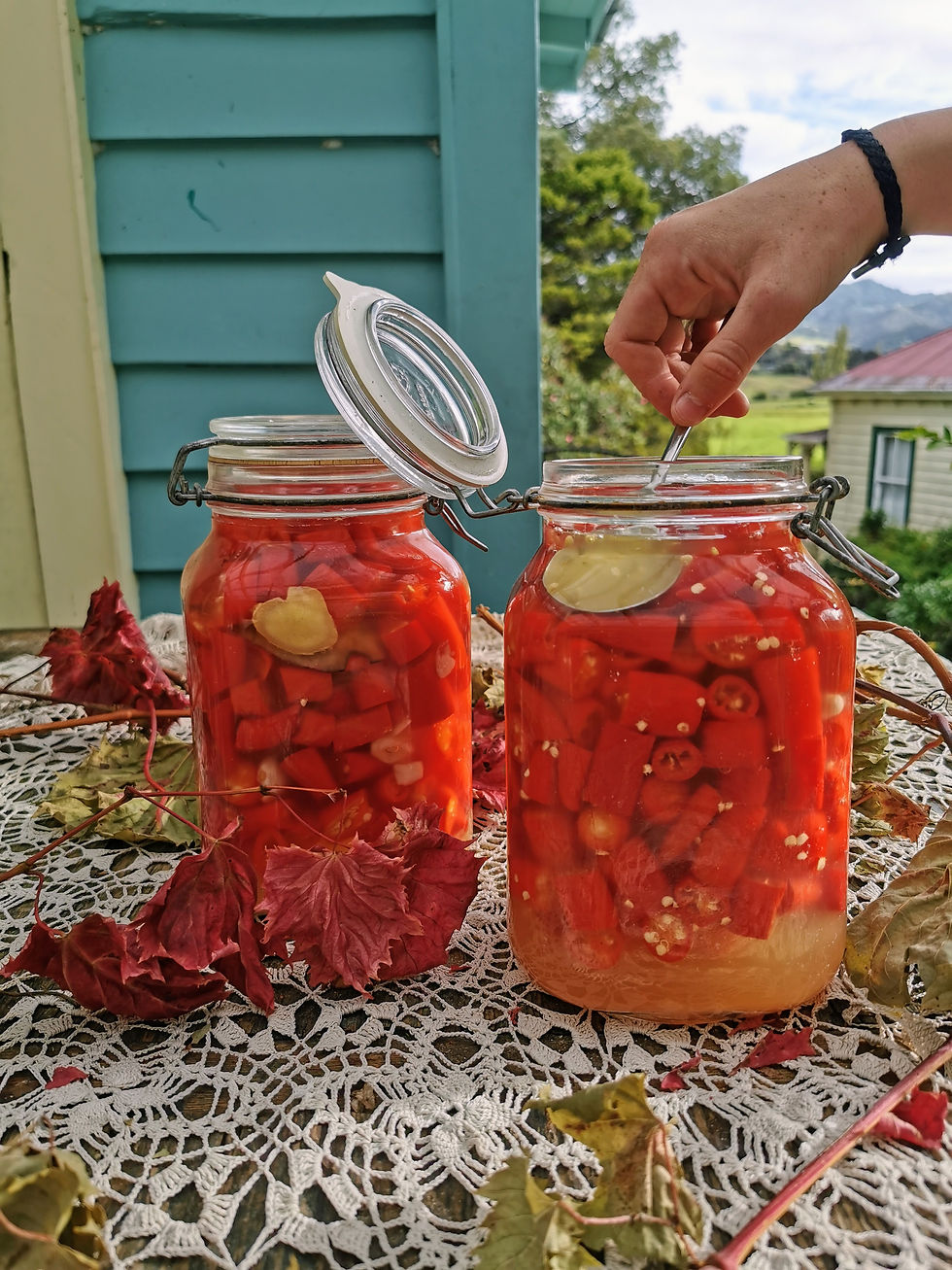 Two jars of red pickled chilli's with garlic on a lace tablecloth. A hand stirs one jar. Autumn leaves scattered around. Blue house in background.
