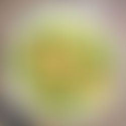 Peach and Avocado Summer Salad