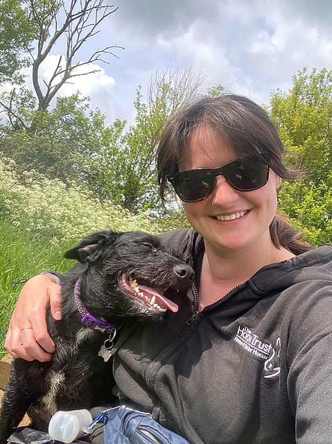 Dog walking, terrier