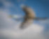 richard-sagredo-rlMzvTt5Wf8-unsplash_edited.jpg