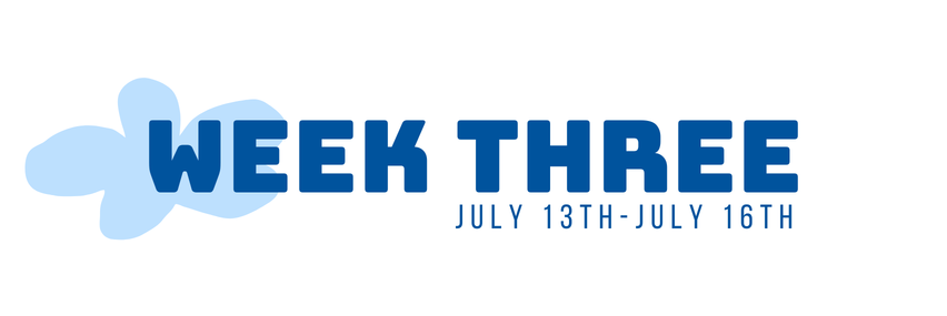 831 Volleyball Camp: Week Three