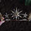 Thumbnail: 'celestial queen' crown