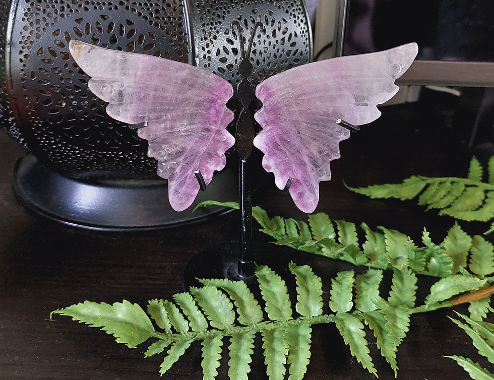 Thumbnail: fluorite butterfly (górgeous wings!)
