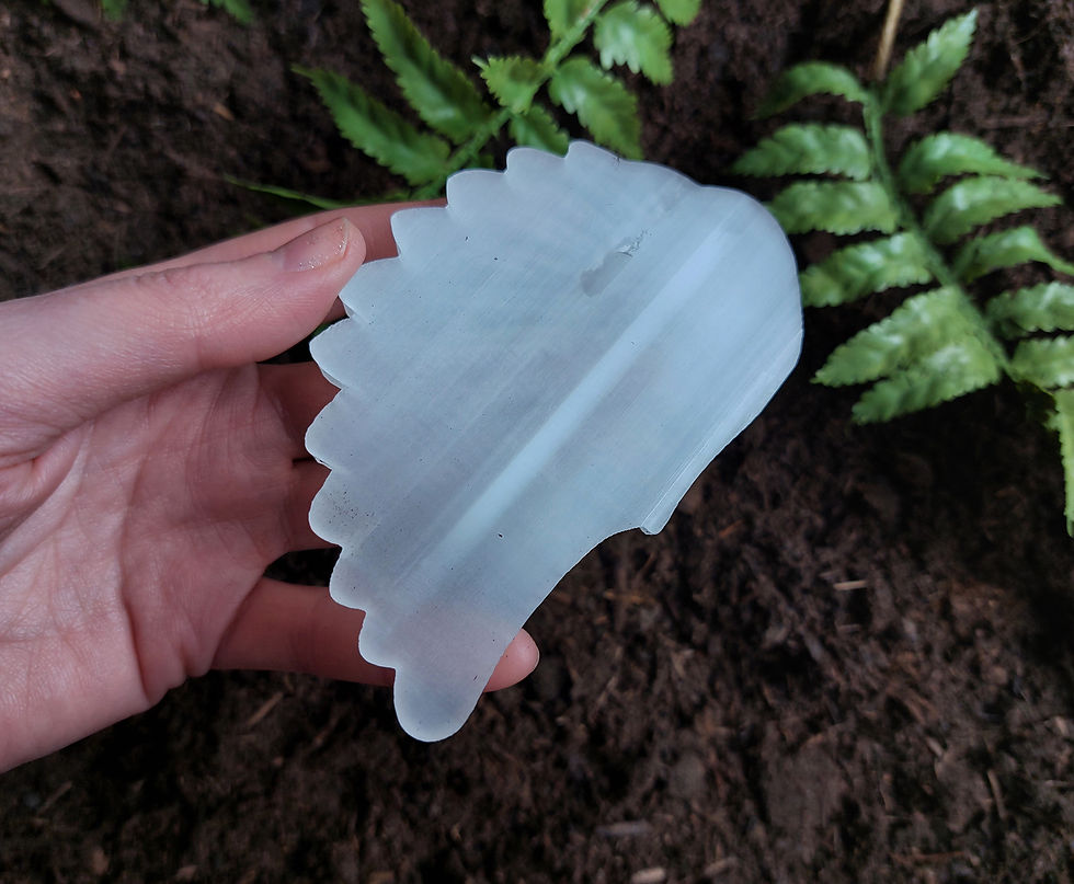 Thumbnail: selenite 'angelic' wing