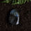 Thumbnail: labradorite * standing stone #12