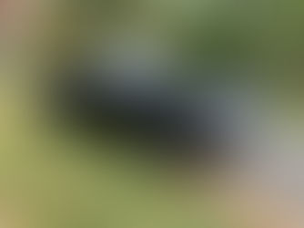 Deze MGB uit 1974 is een echte black beauty!