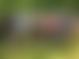 Damenfischen am 14.06.2025, Neudörfl