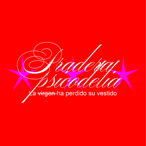 Pradera Psicodelia: La Virgen ha perdido su vestido. (Guion/photo book) 2025