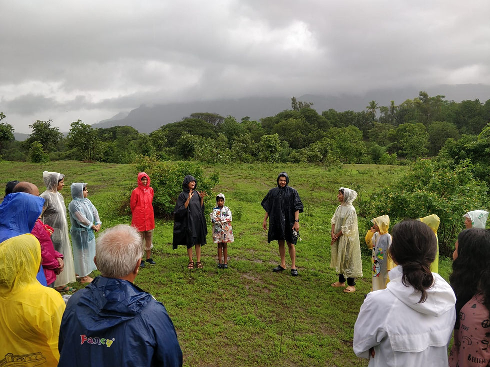 A Day at the Farm – A Waldorf inspired farming experience