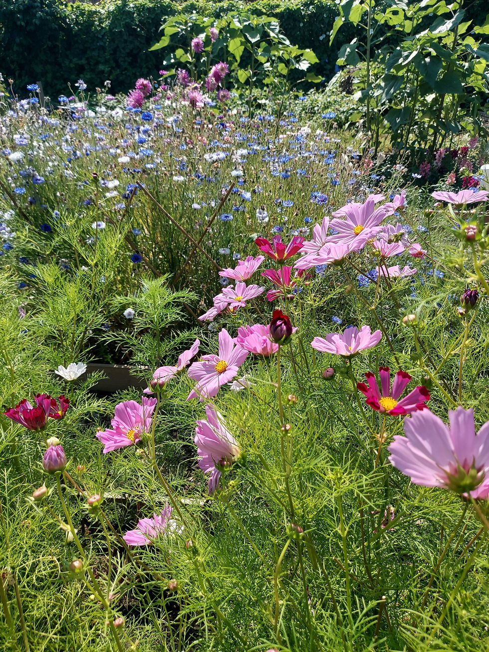 Sustainability and Wedding Flowers