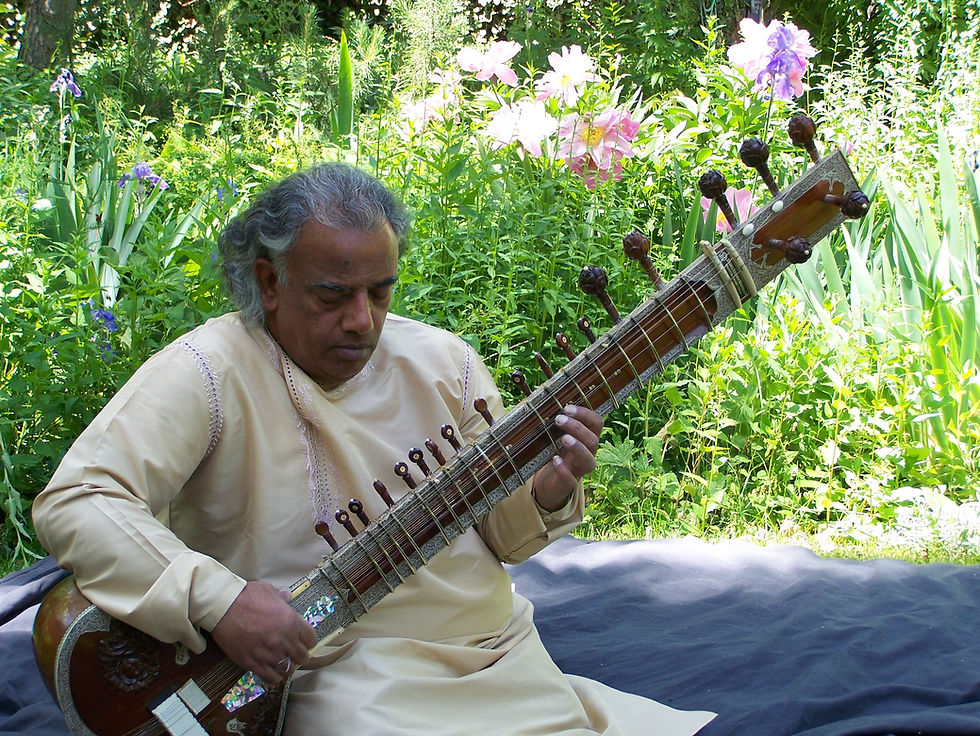 Sweet Sitar Concert with Roshan Jamal Bhartiya
