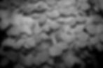 _DSC0347