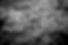 _DSC0347.jpeg