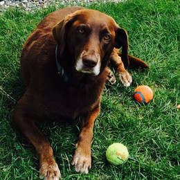 Cajun (2008-2021) Th.D.X