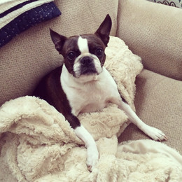 Lucy Roo (2009-2020) Th.D