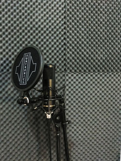 Microphone