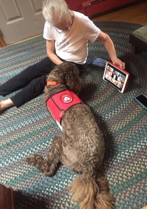 Finbarr virtually visiting his library friends